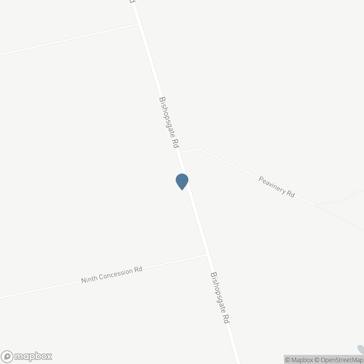 289 BISHOPSGATE Road, Burford, Ontario N0E 1A0